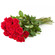 red roses. Tashkent