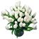 white tulips. Tashkent