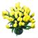 yellow tulips. Tashkent