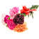 Mixed Color Carnations. Tashkent